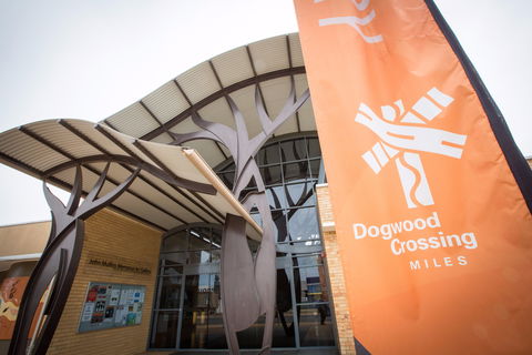 Dogwood Crossing, Miles - Accommodation Mount Tamborine 0