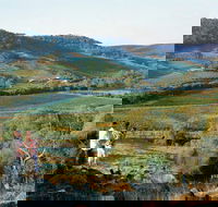 Farm Flavour Trail Chittering Valley - Accommodation Mount Tamborine