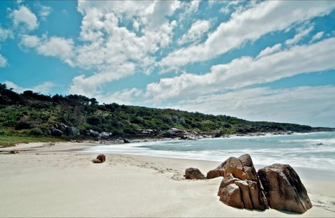 Fishermans Bay Foreshore - Accommodation Mount Tamborine 0
