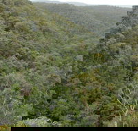 Granite Falls walking track - Accommodation Mount Tamborine