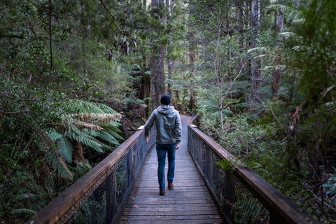 Hastings Caves And Thermal Springs - Accommodation Mount Tamborine 1