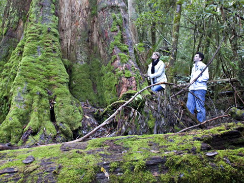 Hastings Caves And Thermal Springs - Accommodation Mount Tamborine 2