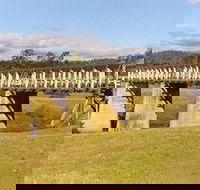 Historic Tabulam DeBurgh Timber Bridge - Accommodation Mount Tamborine