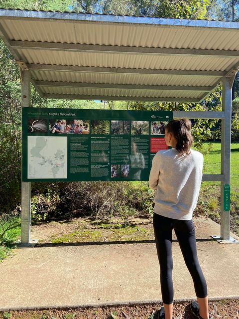 Jehosaphat Gully Picnic Area - Accommodation Mount Tamborine 0
