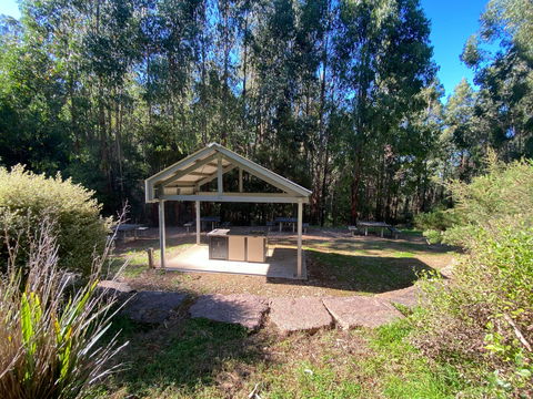 Jehosaphat Gully Picnic Area - Accommodation Mount Tamborine 1