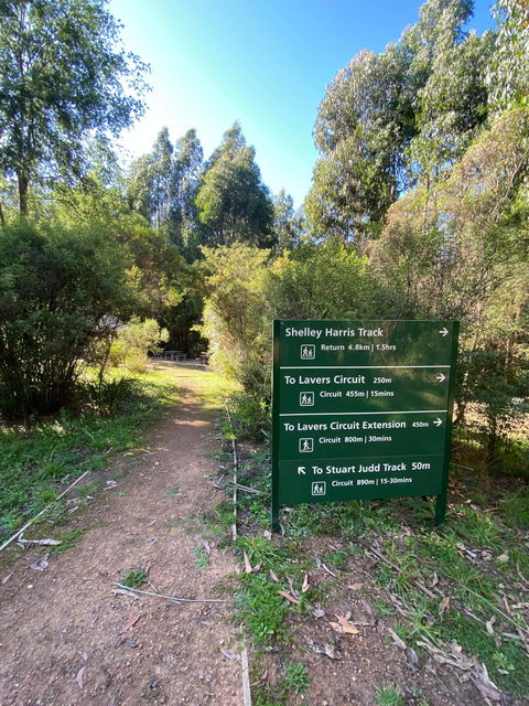 Jehosaphat Gully Picnic Area - Accommodation Mount Tamborine 2