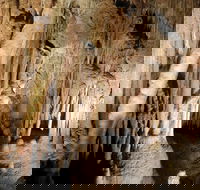 Jillabenan Cave - Accommodation Mount Tamborine