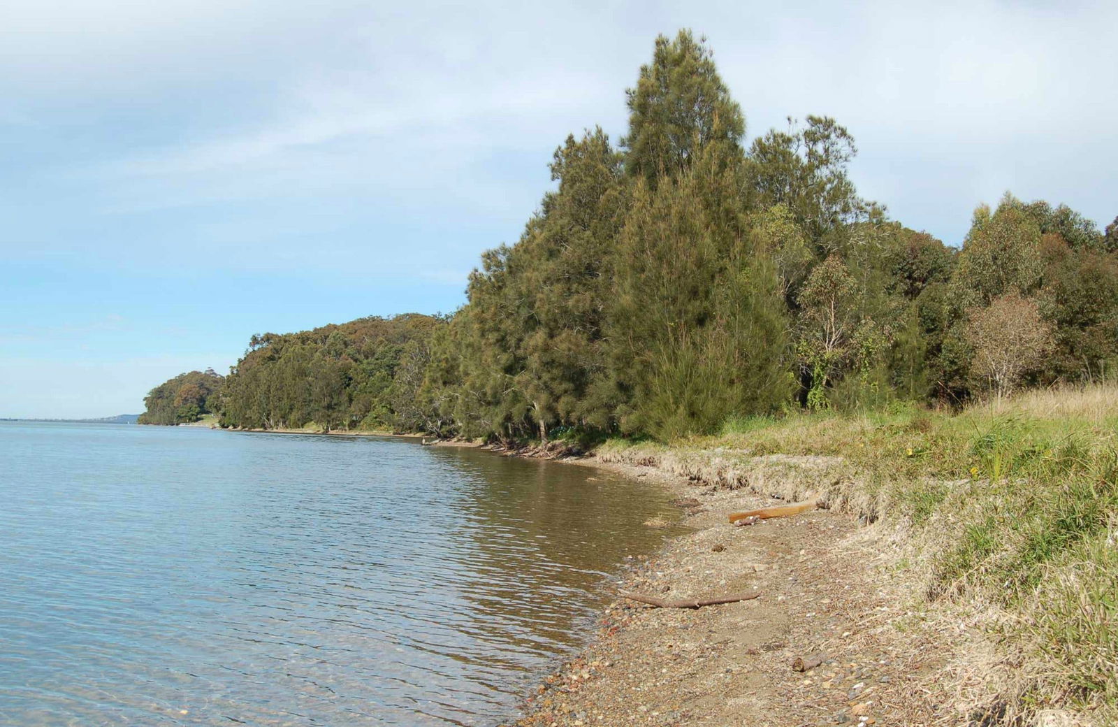 Morisset East NSW Accommodation Mount Tamborine