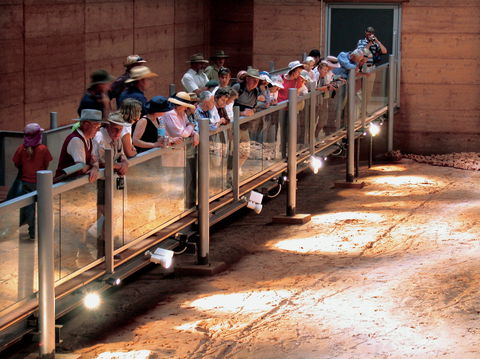 Lark Quarry Conservation Park - Accommodation Mount Tamborine 0