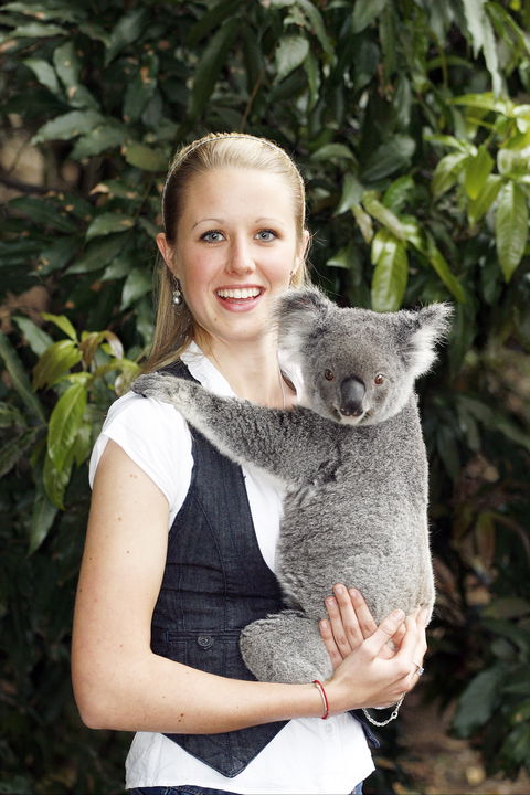 Lone Pine Koala Sanctuary - Accommodation Mount Tamborine 1