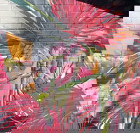 Mokoan Rest Stop Northbound - Accommodation Mount Tamborine