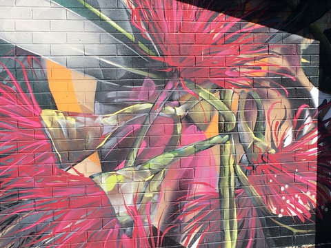 Mokoan Rest Stop Northbound - Accommodation Mount Tamborine 0