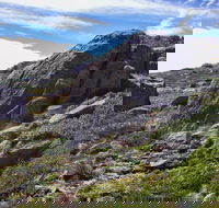 Mount Stillwell walk - Accommodation Mount Tamborine