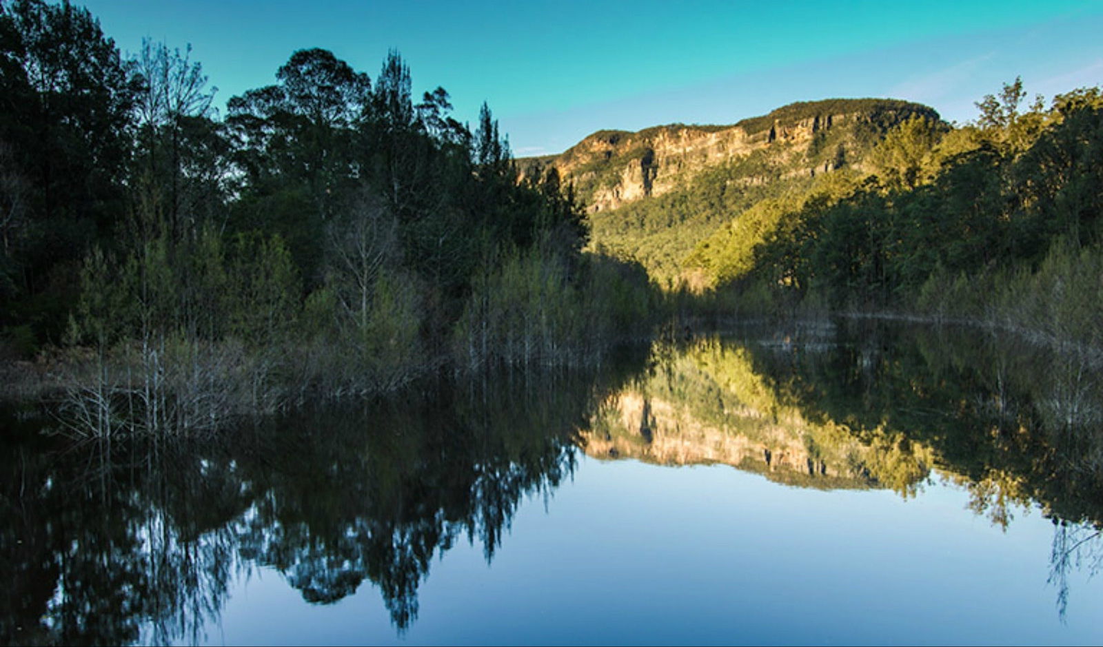 Wattle Ridge NSW Accommodation Mount Tamborine