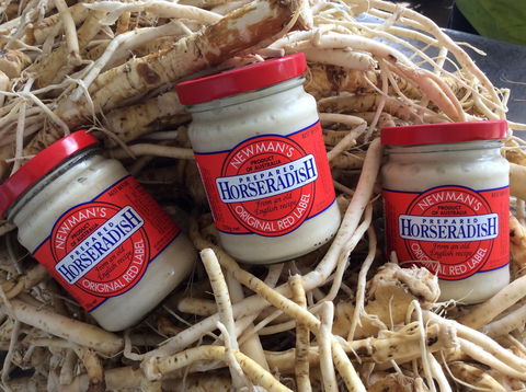 Newman's Horseradish Farm And Rusticana Wines - Accommodation Mount Tamborine 0