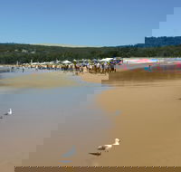 Ocean Beach Umina - Accommodation Mount Tamborine