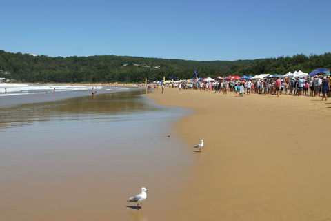 Ocean Beach Umina - Accommodation Mount Tamborine 0