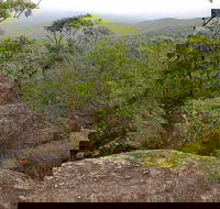 Pigeon House Mountain Didthul Walking Track - Accommodation Mount Tamborine