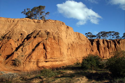 Red Banks Conservation Park - Accommodation Mount Tamborine 0