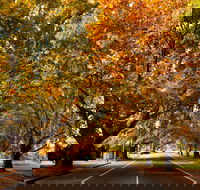 Richmond - Accommodation Mount Tamborine