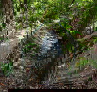 Rocky Crossing walk - Accommodation Mount Tamborine