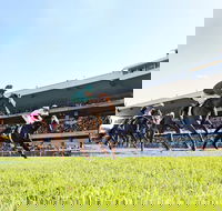 Rosehill Gardens Racecourse - Accommodation Mount Tamborine