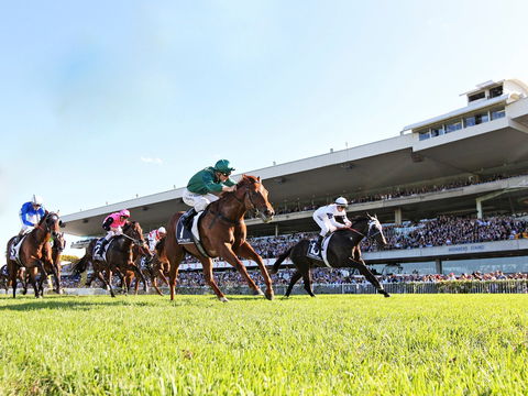 Rosehill Gardens Racecourse - Accommodation Mount Tamborine 0