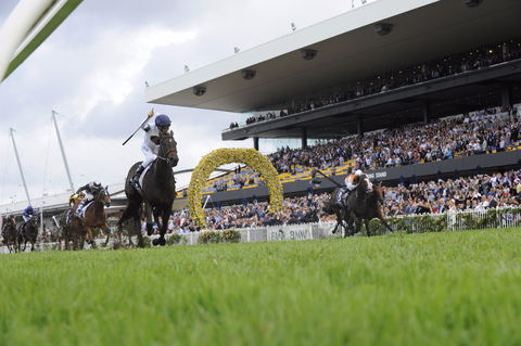 Rosehill Gardens Racecourse - Accommodation Mount Tamborine 1