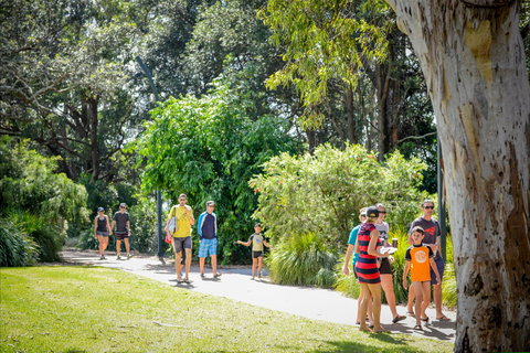 Round The Bay Walking Track: Huskisson To Vincentia - Accommodation Mount Tamborine 1