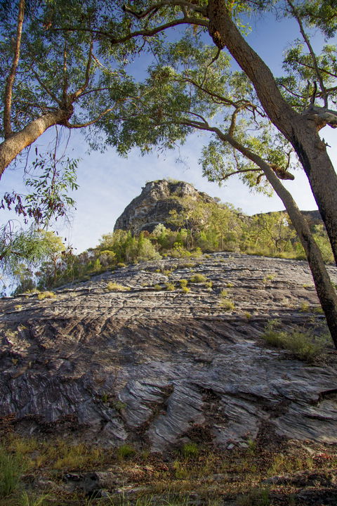 Salvator Rosa, Carnarvon National Park - Accommodation Mount Tamborine 1