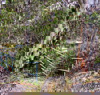 Sawpit Walking Track - Accommodation Mount Tamborine