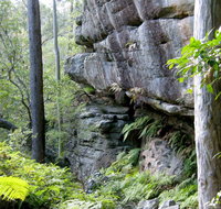 She-Oak Crossing Walk - Accommodation Mount Tamborine