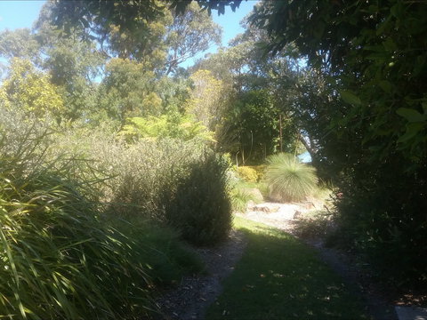 Shoalhaven Heads Native Botanic Garden - Accommodation Mount Tamborine 2