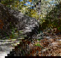 Starlights Trail - Accommodation Mount Tamborine