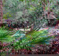 Sugar Creek Picnic Area - Accommodation Mount Tamborine