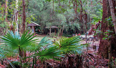 Sugar Creek Picnic Area - Accommodation Mount Tamborine 0