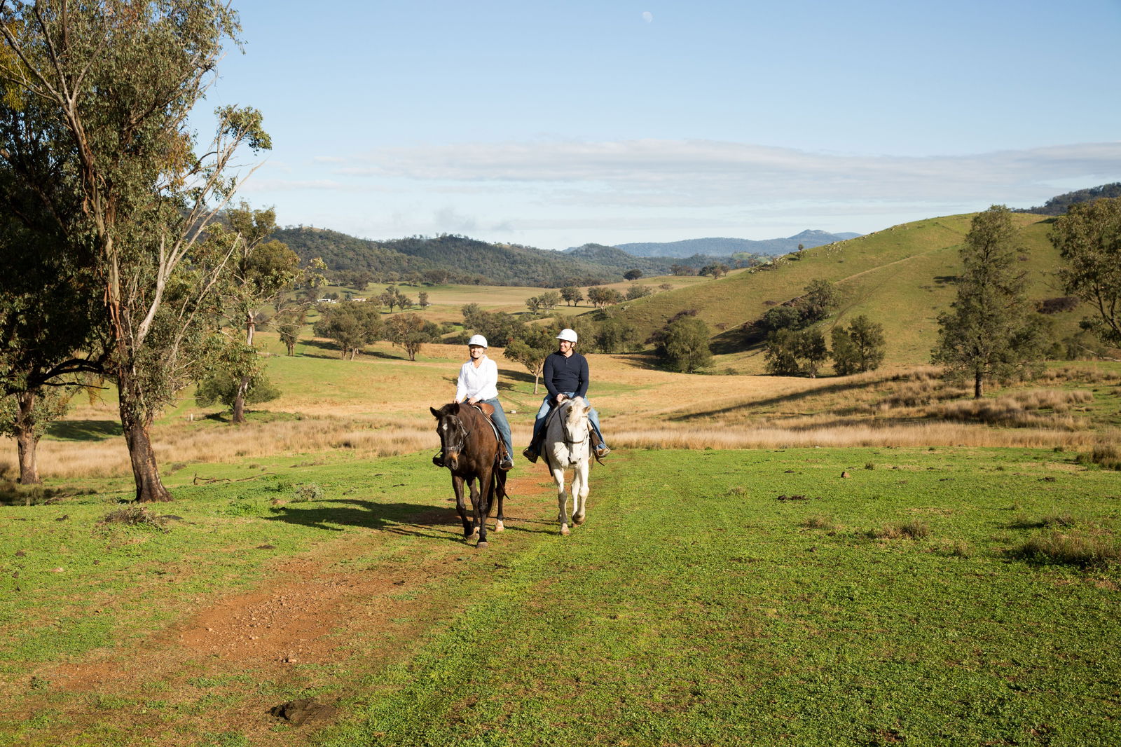 Kootingal NSW Accommodation Mount Tamborine