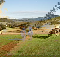 Tamworth and Kootingal Horse Riding Adventures - Accommodation Mount Tamborine