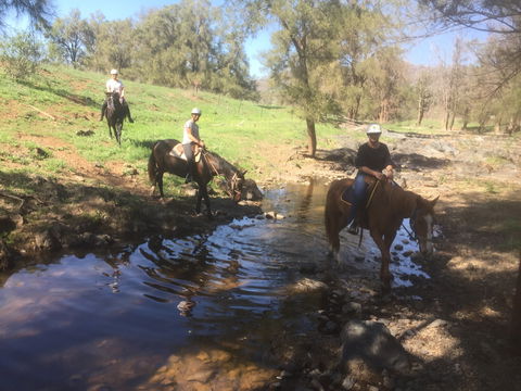 Tamworth And Kootingal Horse Riding Adventures - Accommodation Mount Tamborine 2