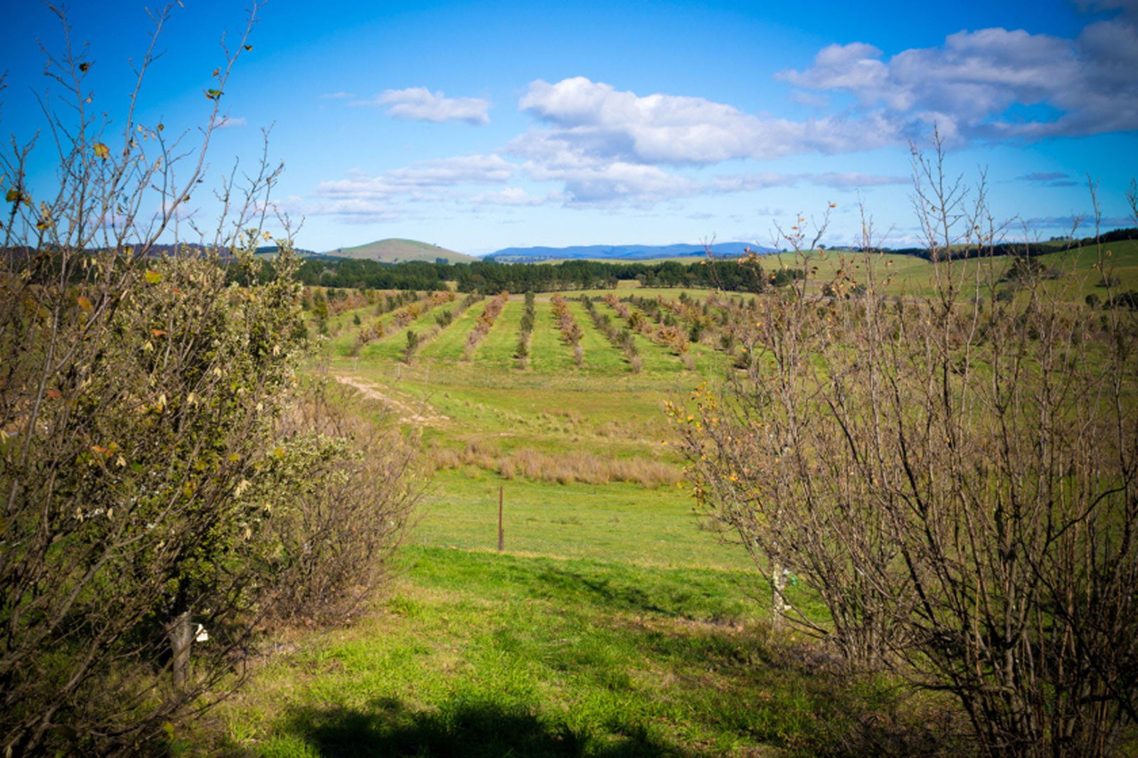 Tarago NSW Accommodation Mount Tamborine