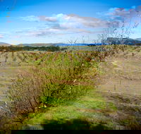Tarago Truffles - Accommodation Mount Tamborine