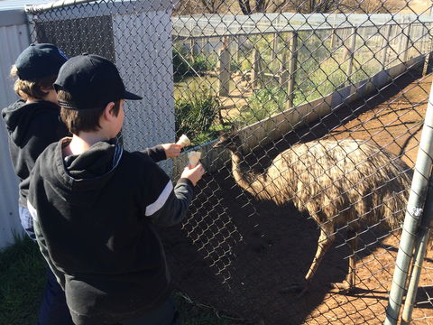Taralga Wildlife Park - Accommodation Mount Tamborine 2