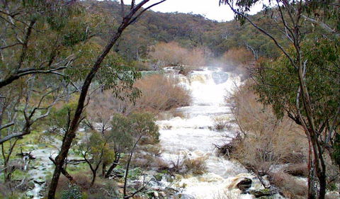 The Falls Water Falls - Accommodation Mount Tamborine 0