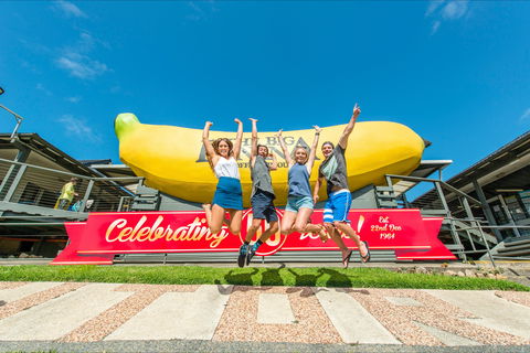 The Big Banana Fun Park - Accommodation Mount Tamborine 0