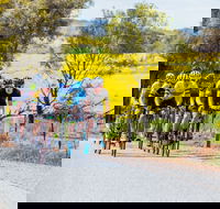 The Heron's Highway - Avon River Cycle Trail - Accommodation Mount Tamborine