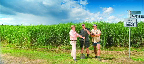 The Shed Gallery - Accommodation Mount Tamborine 0