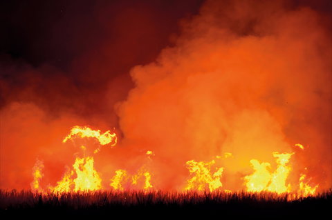 The Shed Gallery - Accommodation Mount Tamborine 1