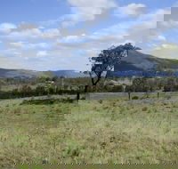 Thornton - Accommodation Mount Tamborine
