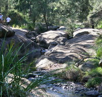 Towarri National Park - Accommodation Mount Tamborine