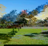 Tunks Hill picnic area - Accommodation Mount Tamborine